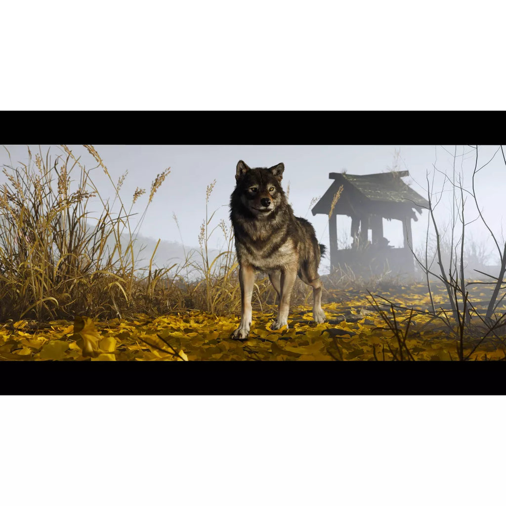 Embark on an Epic Journey in Ghost of Yotei for PlayStation 5 - A Tale of Vengeance and Redemption Awaits!